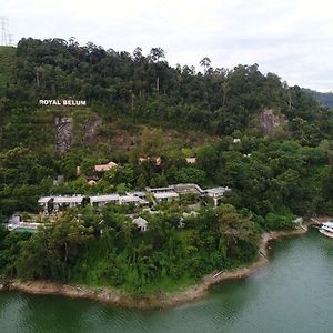 Belum Rainforest Resort